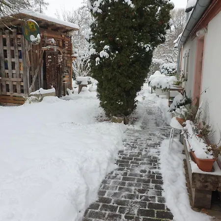 Unser Obervolkacher - Hideaway & Gartenoase Mit Wohlfuehlflair Und Herz Fuer Hunde *