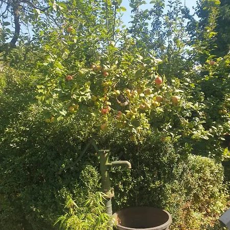 Appartement Unser Obervolkacher - Hideaway & Gartenoase Mit Wohlfuehlflair Und Herz Fuer Hunde *
