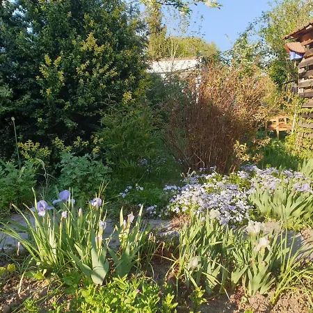 Unser Obervolkacher Ferienhaus- Die Ferienwohnung Daire Volkach
