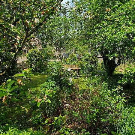Appartement Unser Obervolkacher - Hideaway & Gartenoase Mit Wohlfuehlflair Und Herz Fuer Hunde Volkach