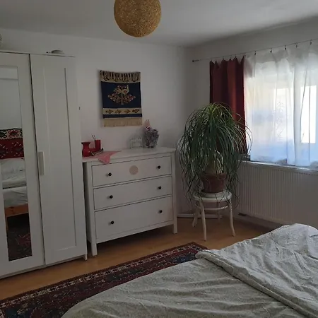 Unser Obervolkacher - Hideaway & Gartenoase Mit Wohlfuehlflair Und Herz Fuer Hunde Appartement *