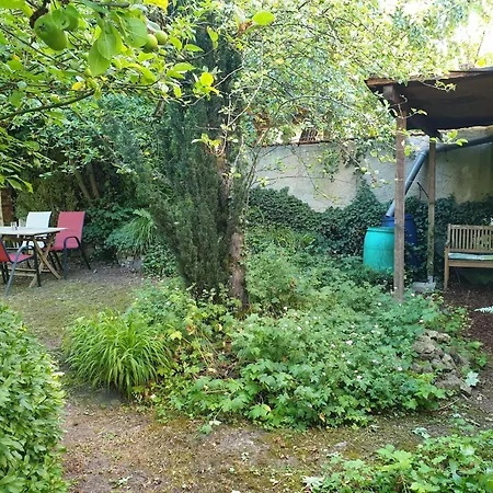 Unser Obervolkacher - Hideaway & Gartenoase Mit Wohlfuehlflair Und Herz Fuer Hunde