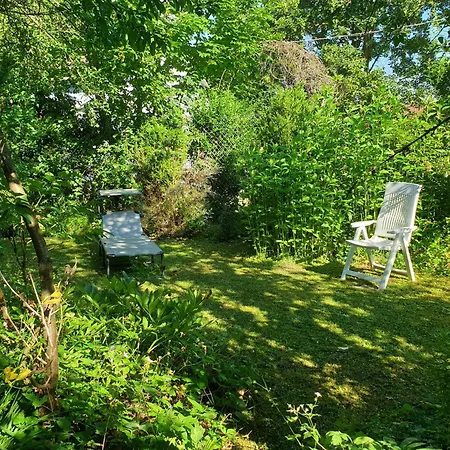 アパート Unser Obervolkacher - Hideaway & Gartenoase Mit Wohlfuehlflair Und Herz Fuer Hunde