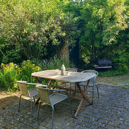 Unser Obervolkacher - Hideaway & Gartenoase Mit Wohlfuehlflair Und Herz Fuer Hunde Appartement *