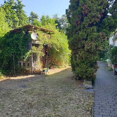 Unser Obervolkacher - Hideaway & Gartenoase Mit Wohlfuehlflair Und Herz Fuer Hunde アパート フォルカッハ